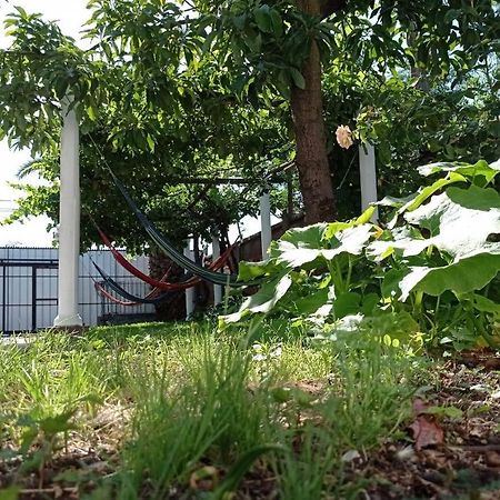 Hospedaje Curico Casa Grande Экстерьер фото