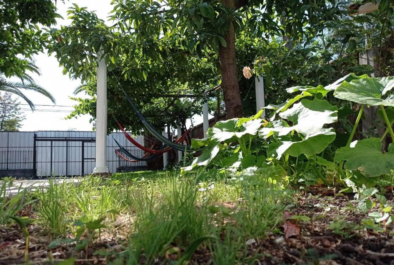 Hospedaje Curico Casa Grande Экстерьер фото